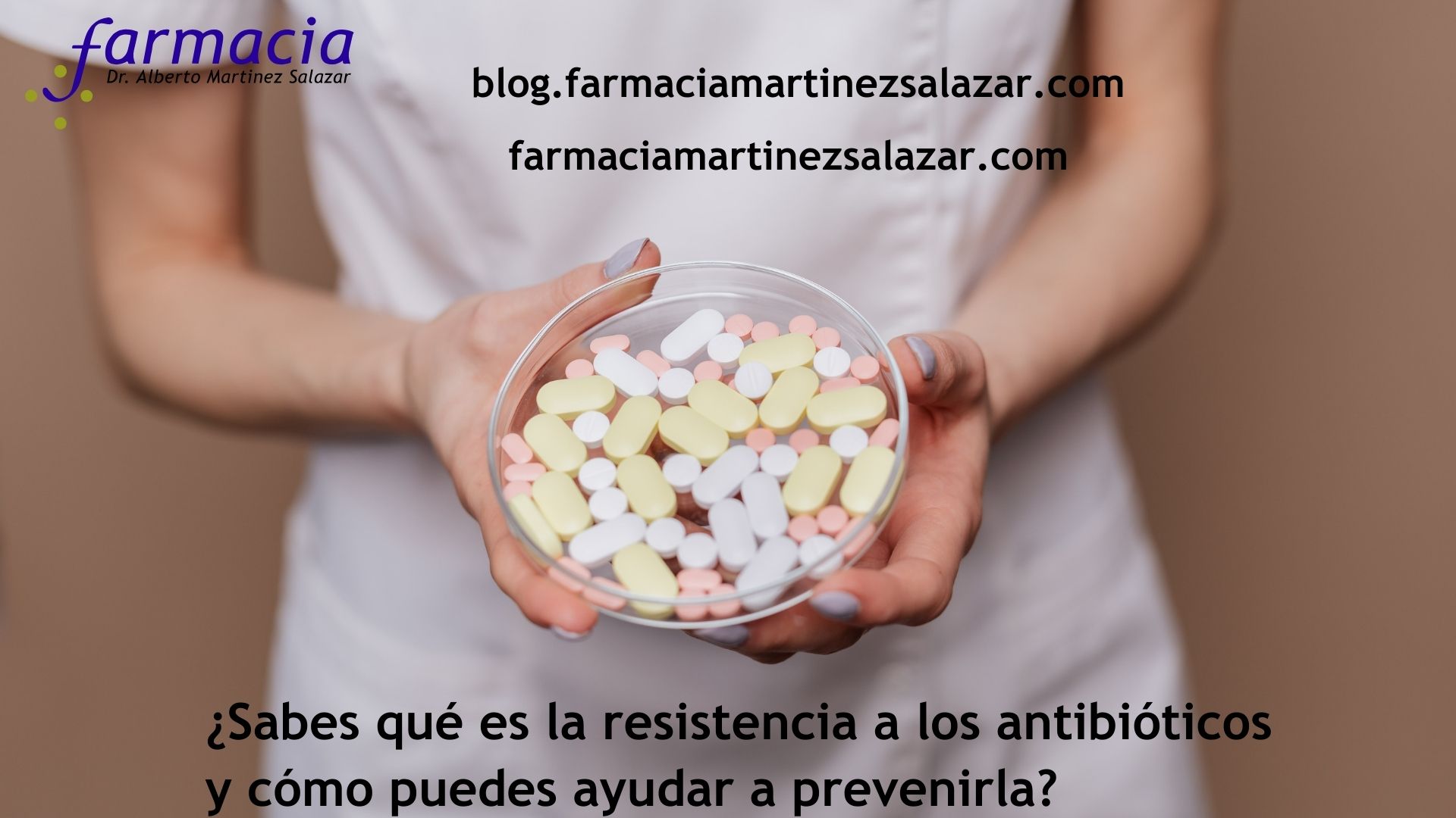 Qué Es La Resistencia A Los Antibióticos